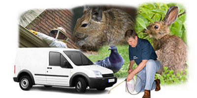 Knottingley local van